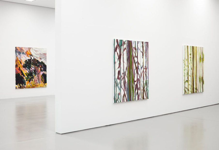 Leopold-Hoesch-Museum