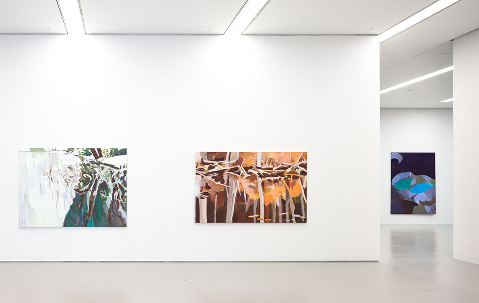 Leopold-Hoesch-Museum